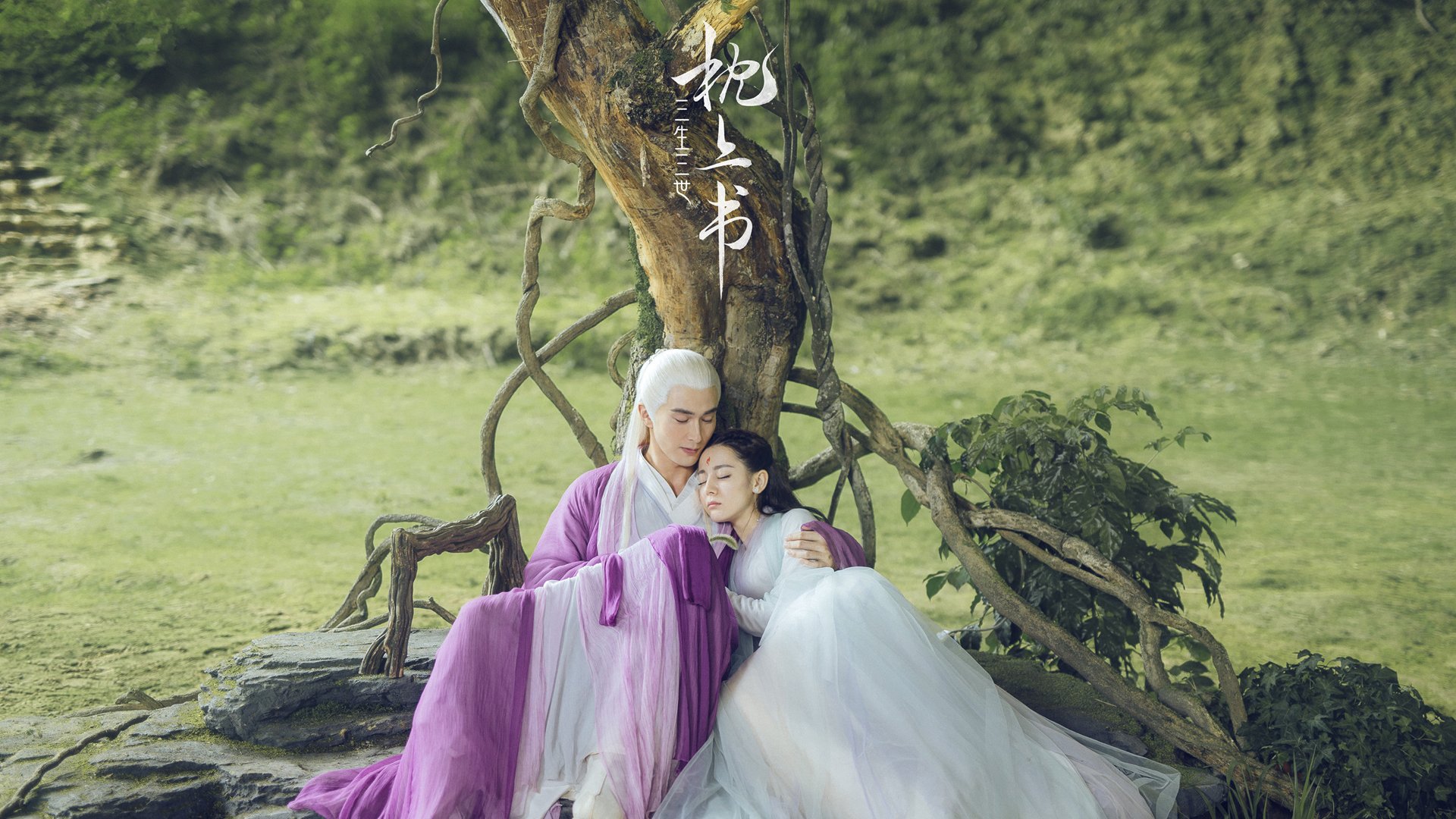 东契奇发起“每得一分捐一餐”公益计划,东契奇得分今天