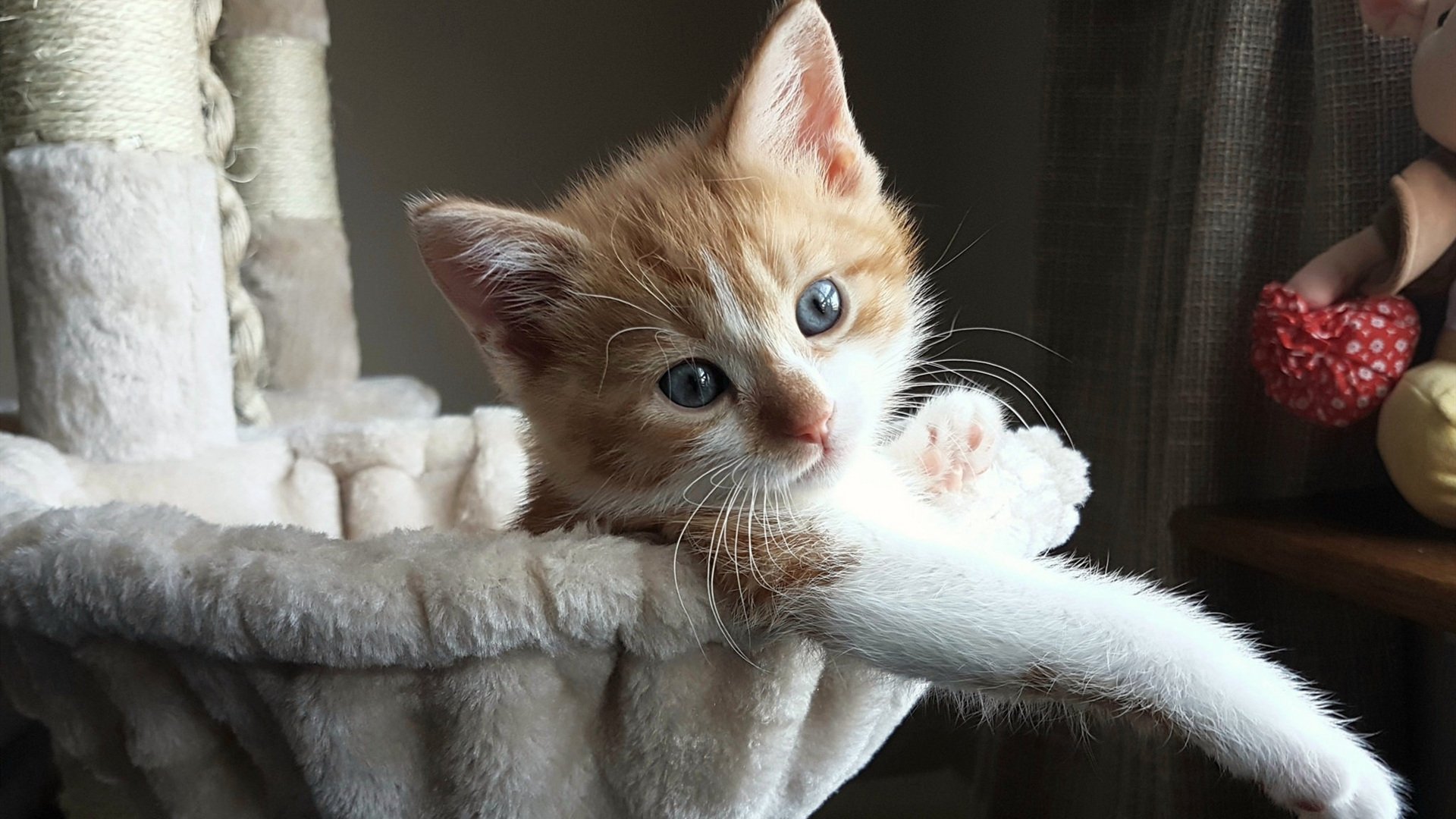 从零到英雄：那些在欧冠中崛起的平凡球员，欧冠出名球员