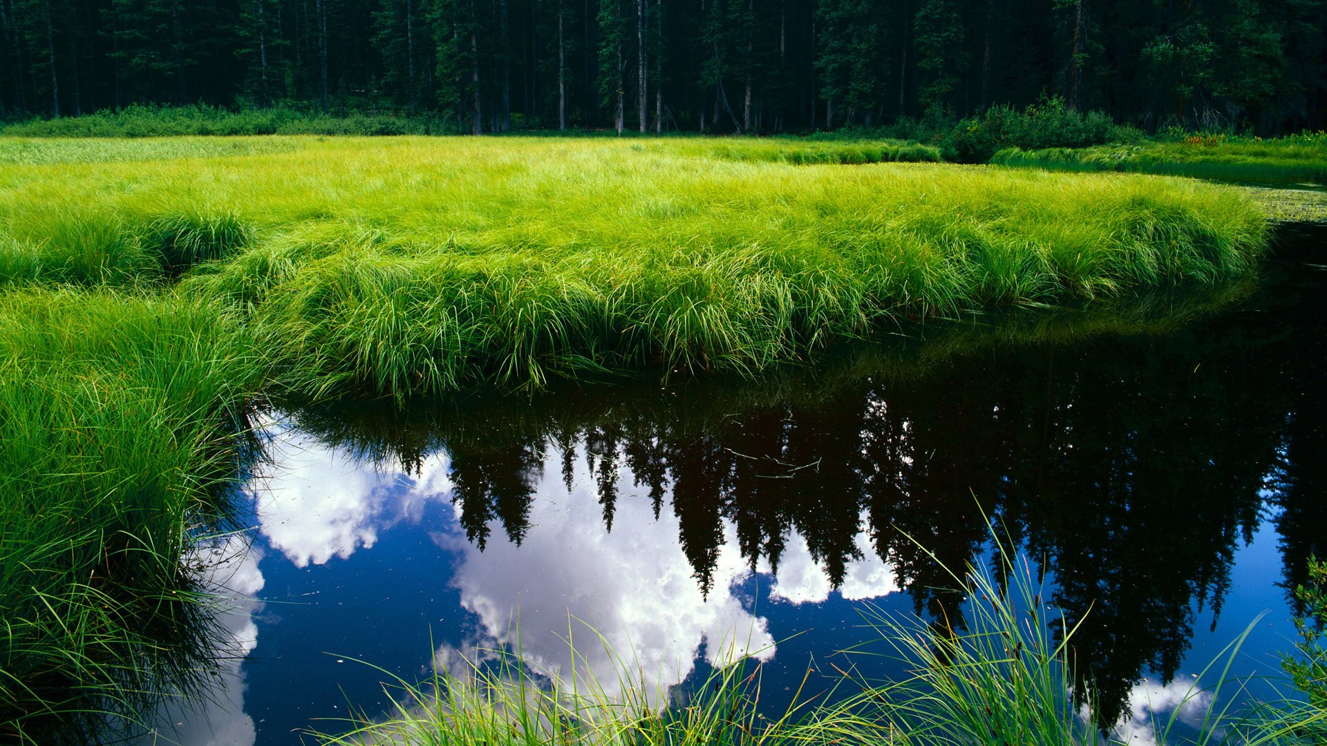 传奇巨星的“冷知识”：你知道他们的趣事吗？，传奇的巨星是谁