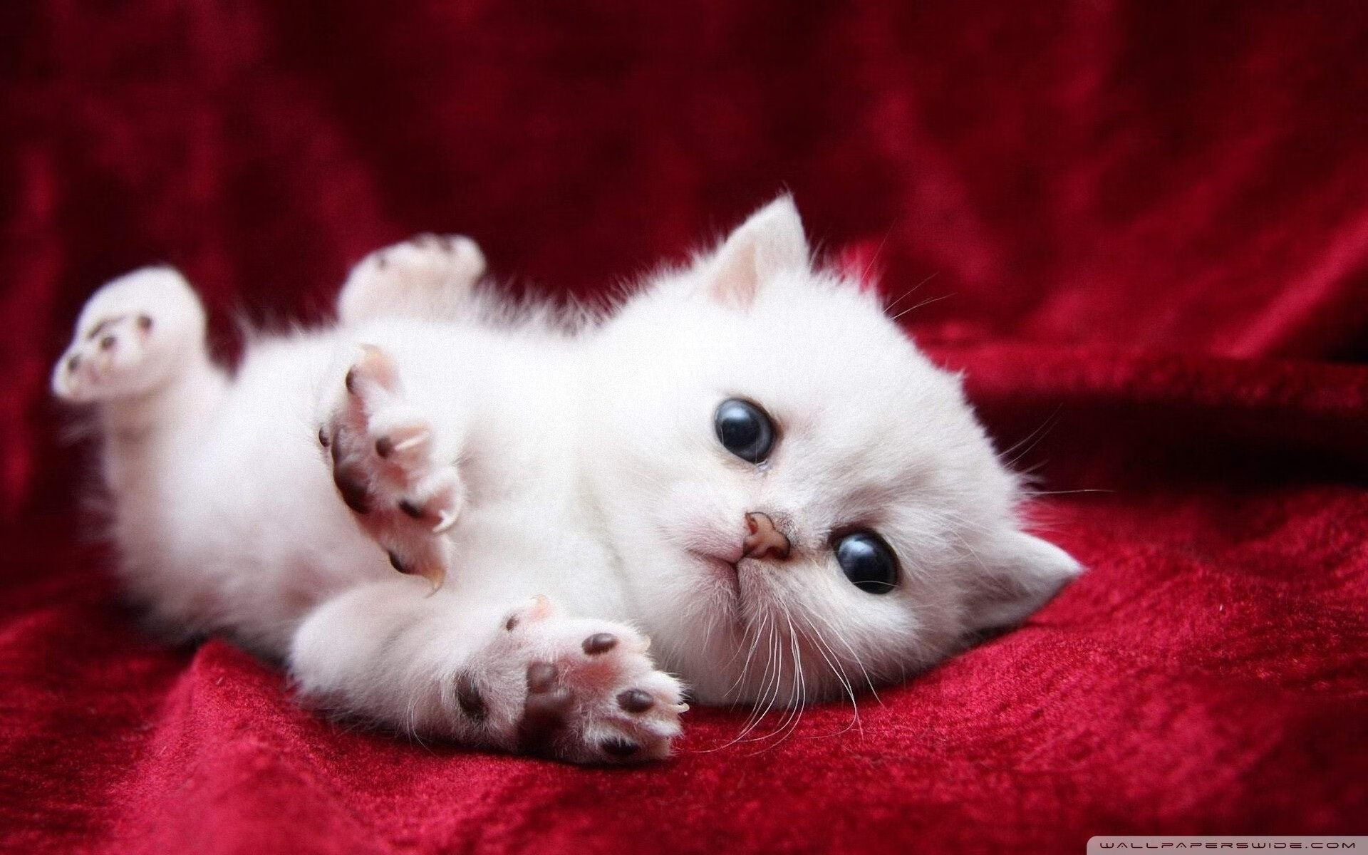 冬奥足球统计:墨西哥场均控球率第一,墨西哥足球ds