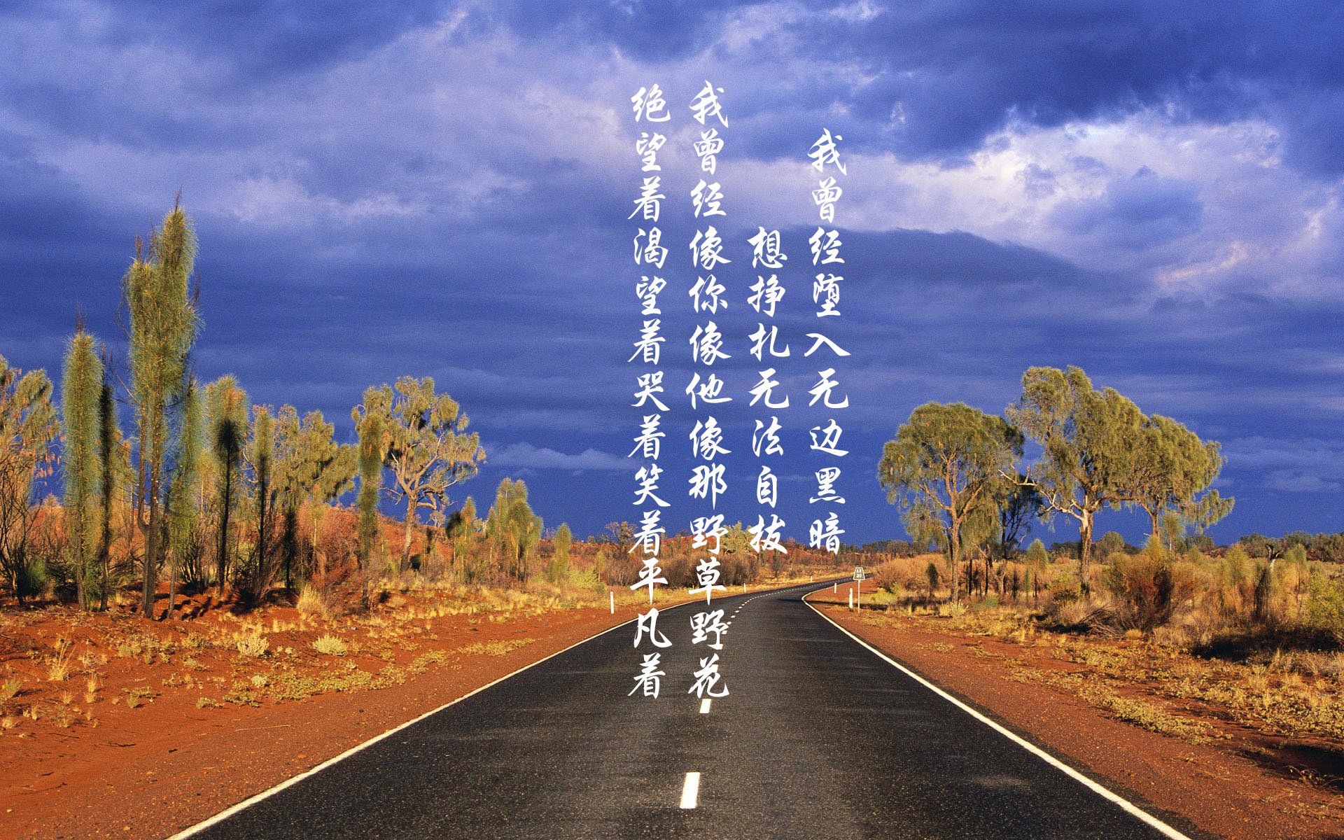 中国跳水队世锦赛包揽十金，霸主地位无可撼动，中国跳水队2020