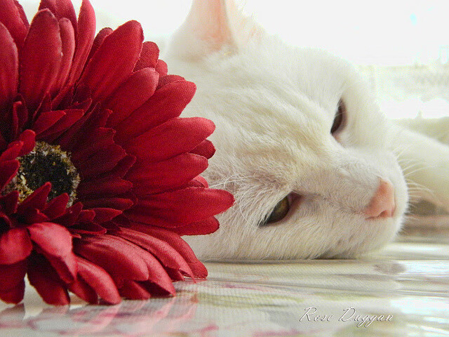 国足中场核心发挥关键作用,国足中场实力排名