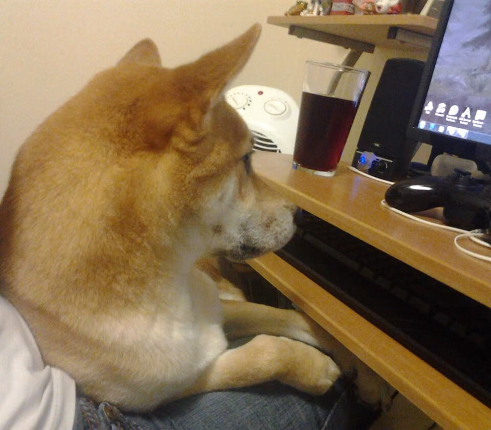 奥萨苏纳主场1-1战平皇家贝蒂斯，双方互交白卷，奥萨苏纳vs皇家贝蒂斯比分预测