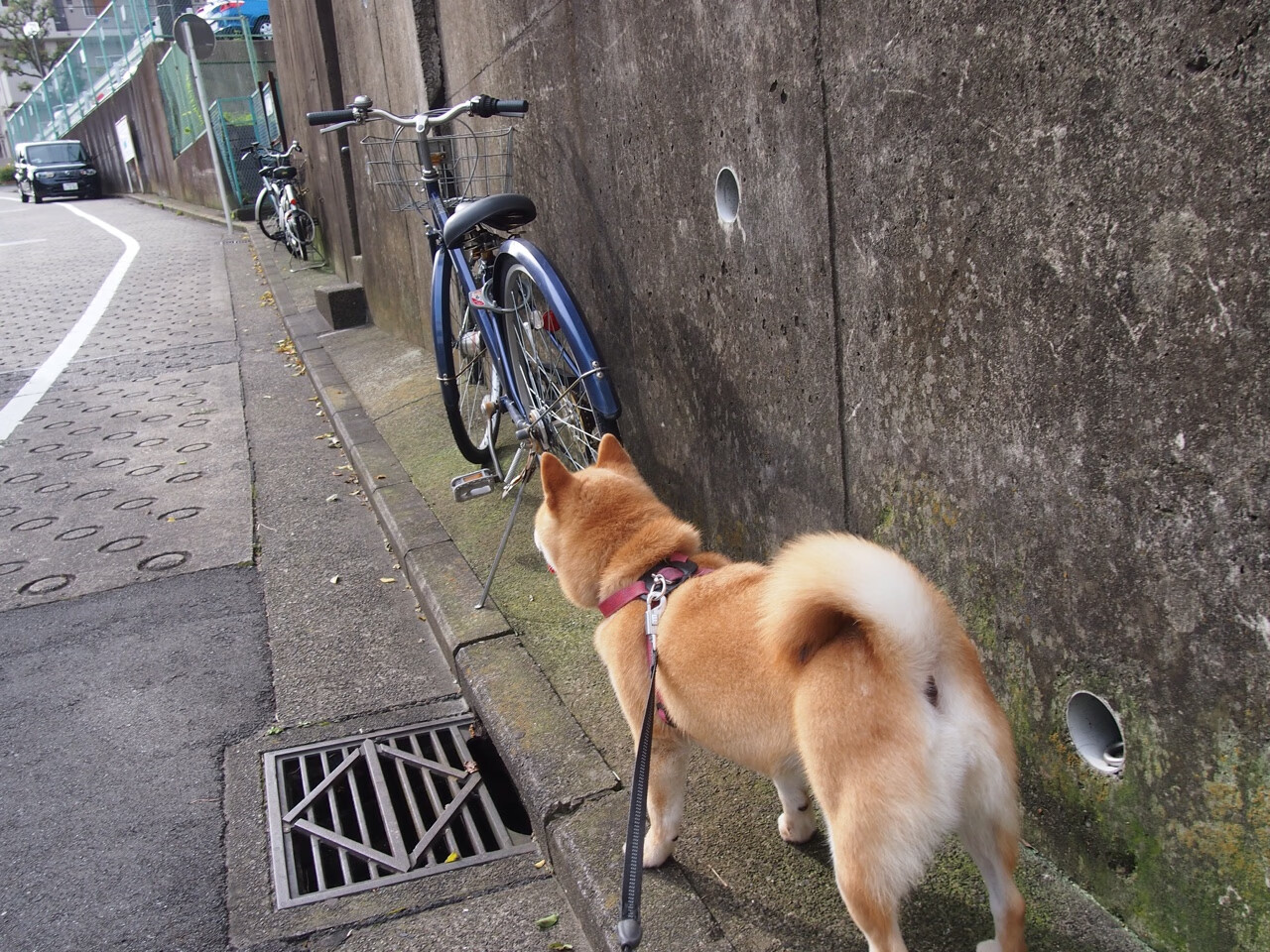 阿尔梅里亚客场不敌对手，头顶的西甲保级压力加大，阿尔梅里亚比分