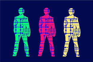 高校体育专业人才培养质量保障体系，体育人才培养方案心得体会