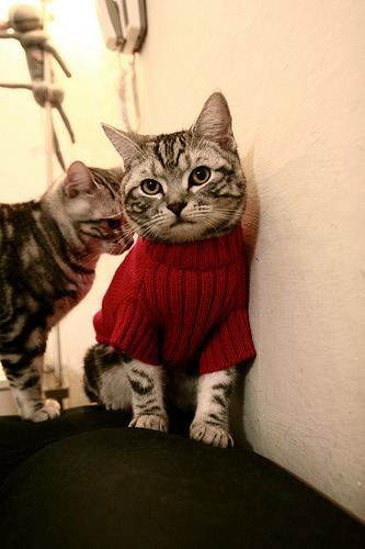 全国青少年极限轮滑赛精彩纷呈，全国青少年极限轮滑赛精彩纷呈视频