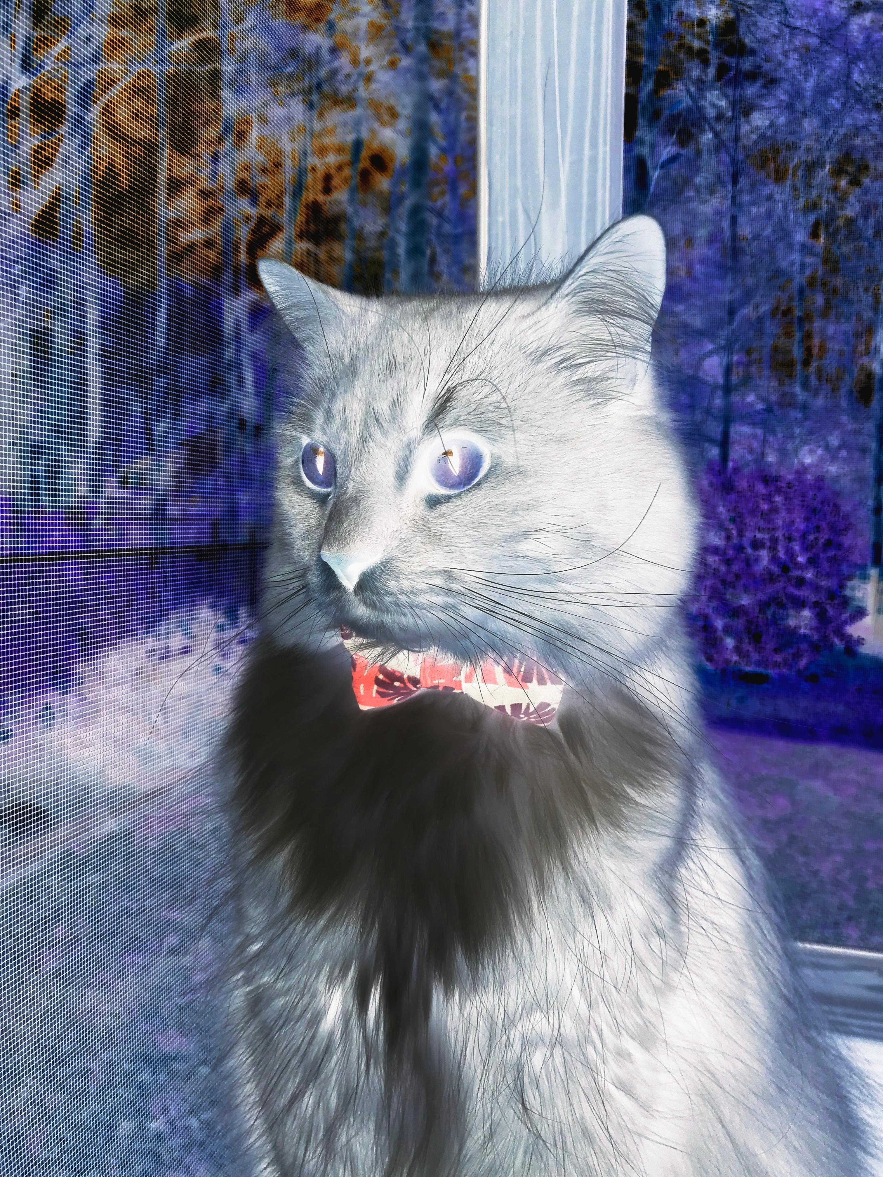 朱婷登顶积分榜奥运会，朱婷总结奥运