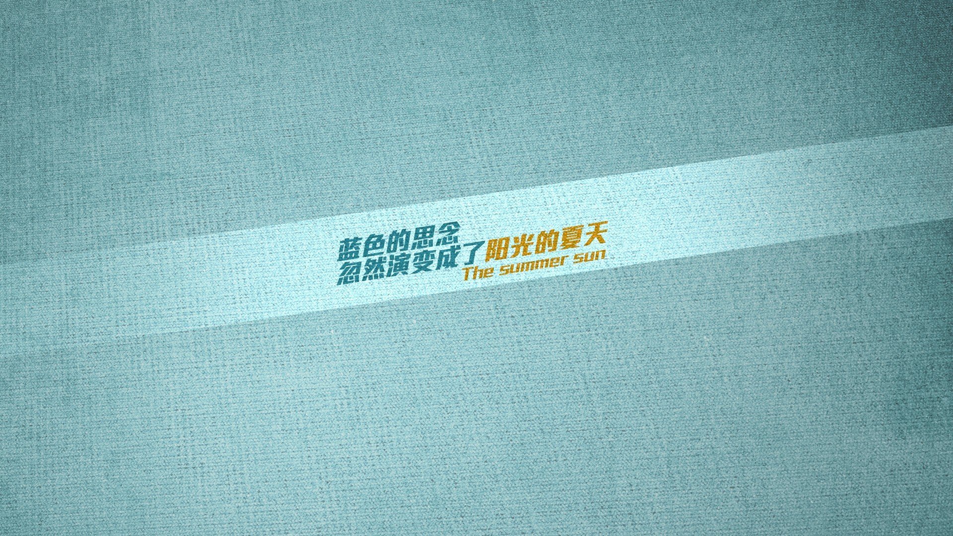 黄蜂安排早训任务提高晨间活力与反应速度,黄蜂活动时间